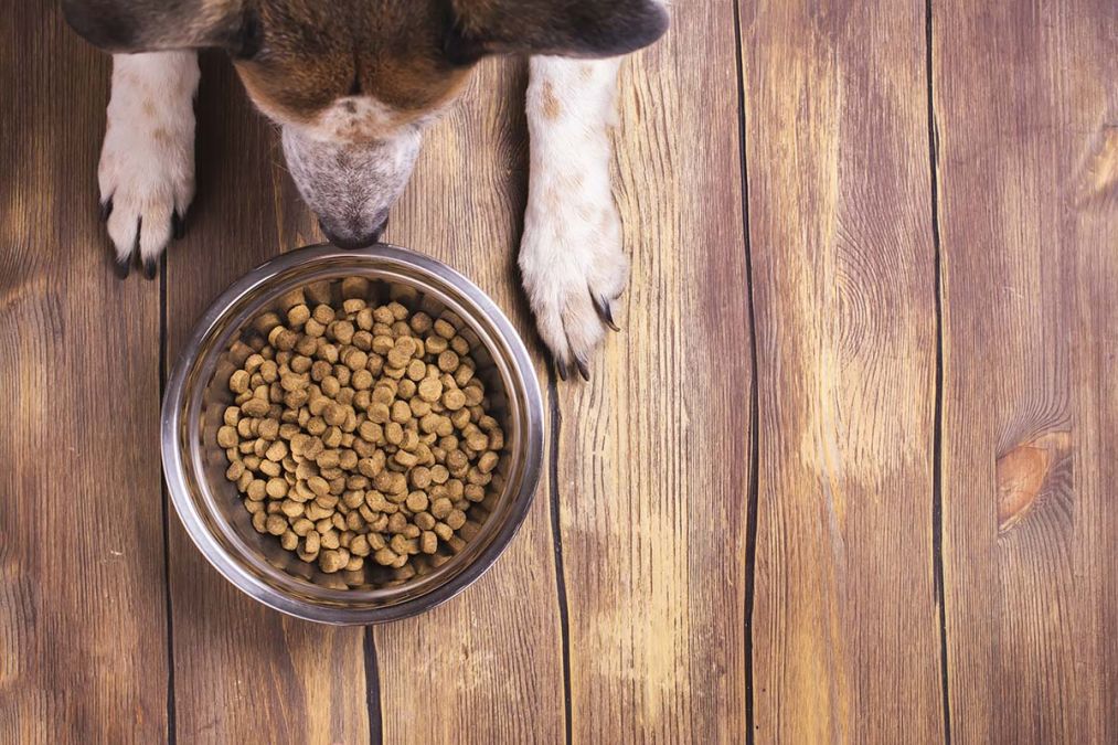 Michigan is in a hurry to cut taxes. Is a pet food tax exemption